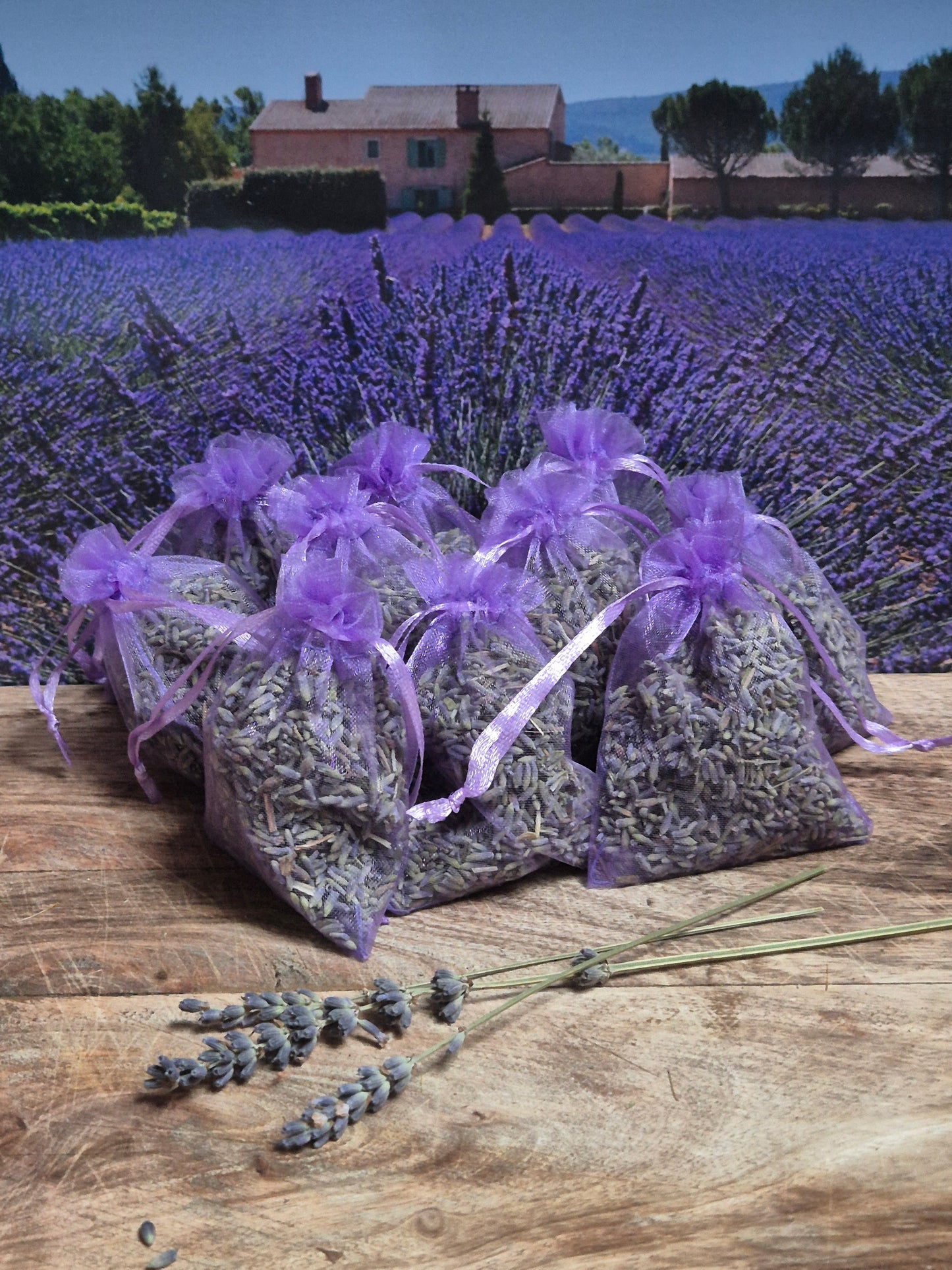 Geurzakjes met biologische lavendel uit de Provence - 12 stuks lila