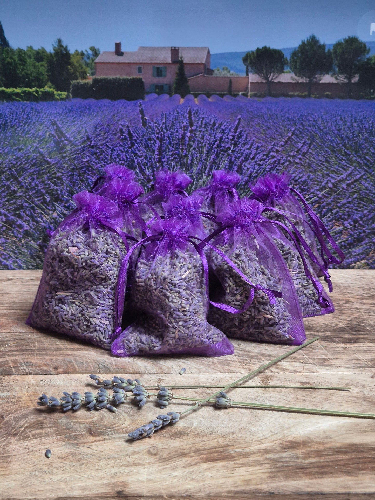 Geurzakjes met biologische lavendel uit de Provence - 12 stuks paars