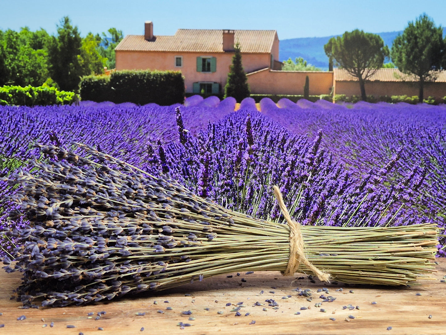 Droogbloemen boeket biologische Lavandin uit de Provence